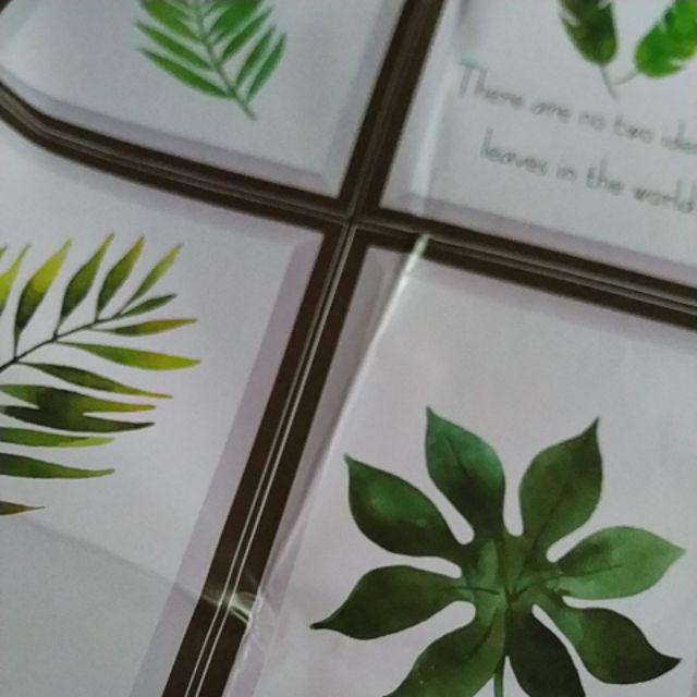 Wall Sticker Bingkai Daun Floral Wallsticker Sibd