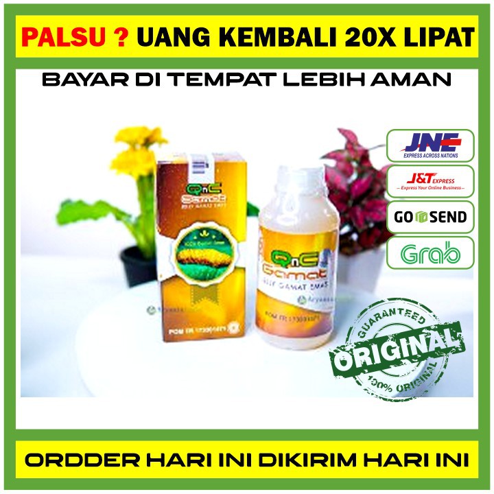 TERLARIS Obat Herbal Usus Buntu Ampuh, Kanker, Turun Bero, Tumor, Radang Usus Kecil & Besar