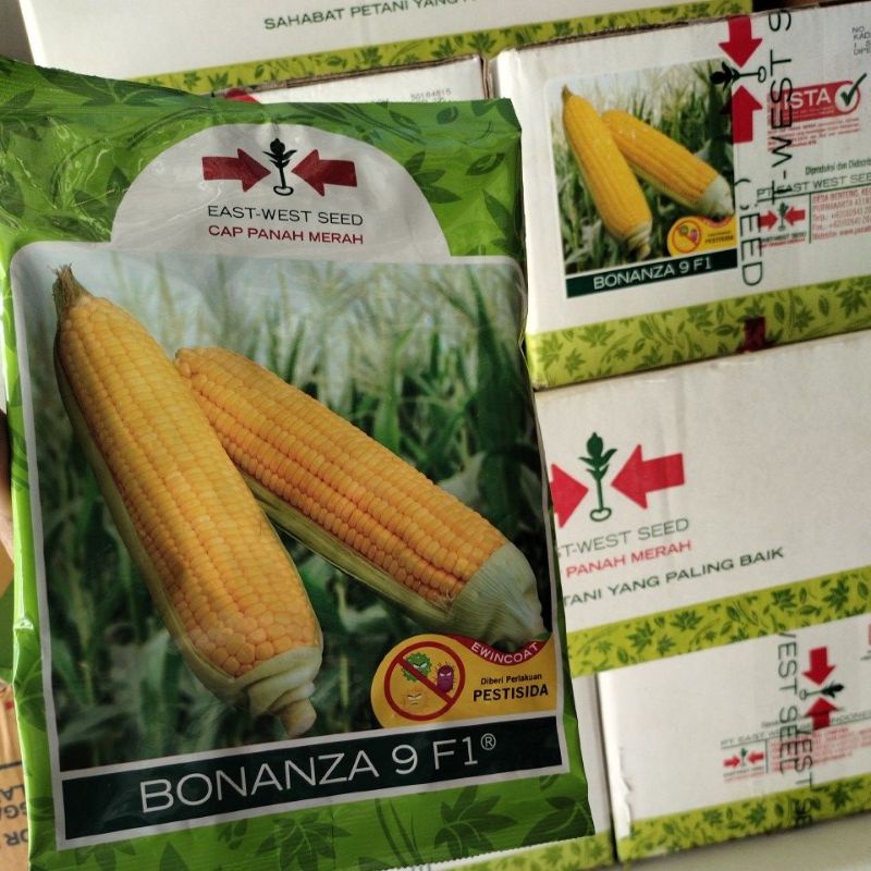Benih Jagung Manis Bonanza 9 F1
