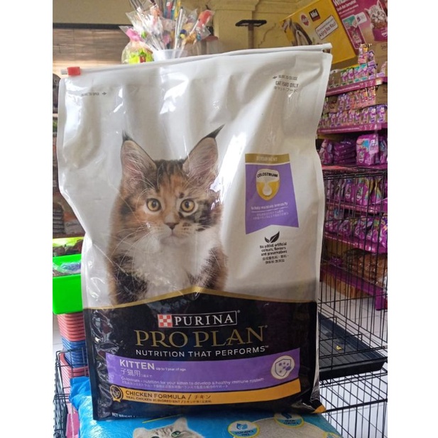 Proplan kitten 8kg