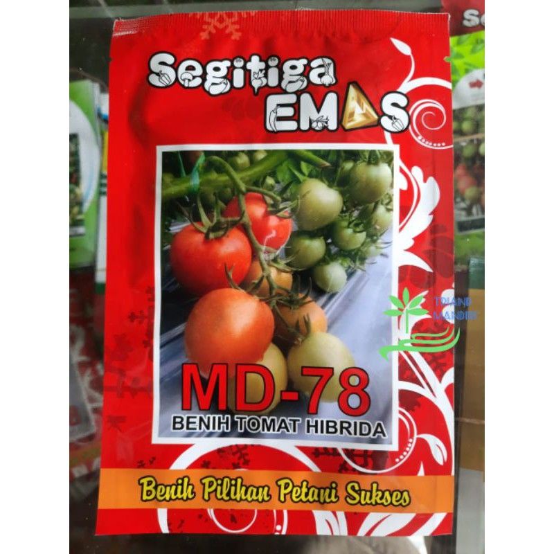 Benih Bibit Tomat MD 78 Hibrida Segitiga Emas 5gr