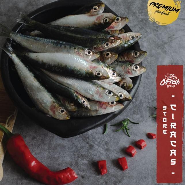 

➮ Ikan Sarden Segar Size Kecil 10-14 Ekor / pack - 11-20 EKor1000g ☑