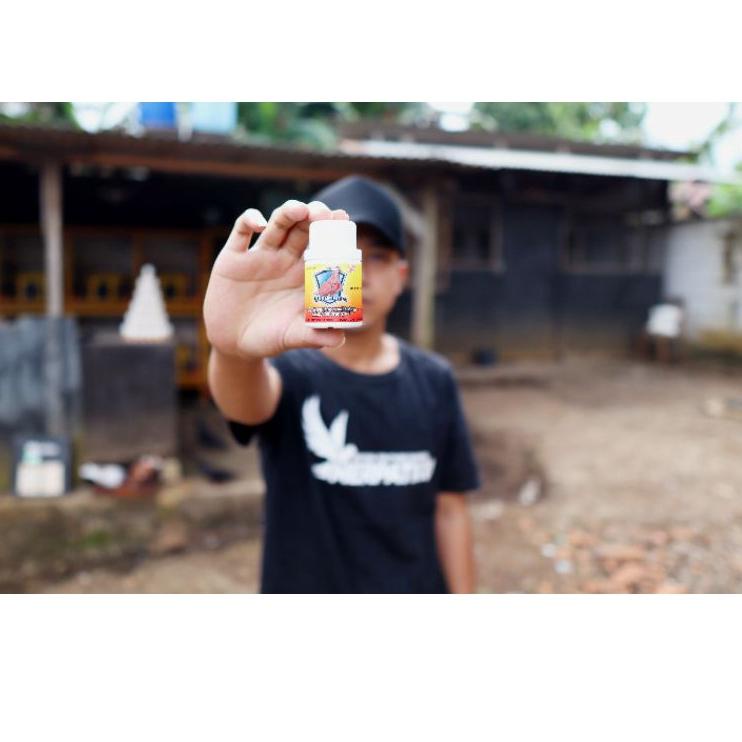 (Recomended) Jamu Merpatiku Isi 100btr Cocok Untuk Merpati Kolong, Merpati Balap, Merpati Tomprangan