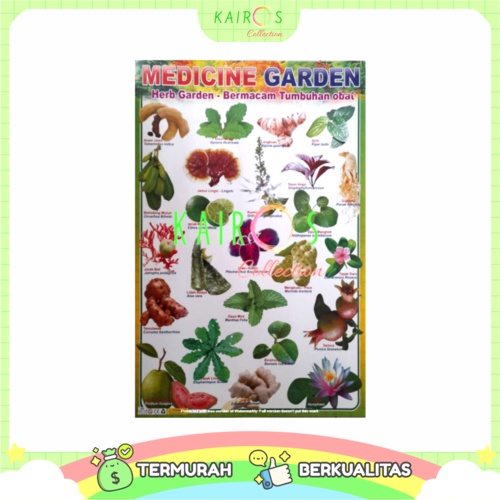 Poster Edukasi Anak Bermacam Tumbuhan Obat - Herb Garden