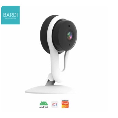 smart indoor static ip camera