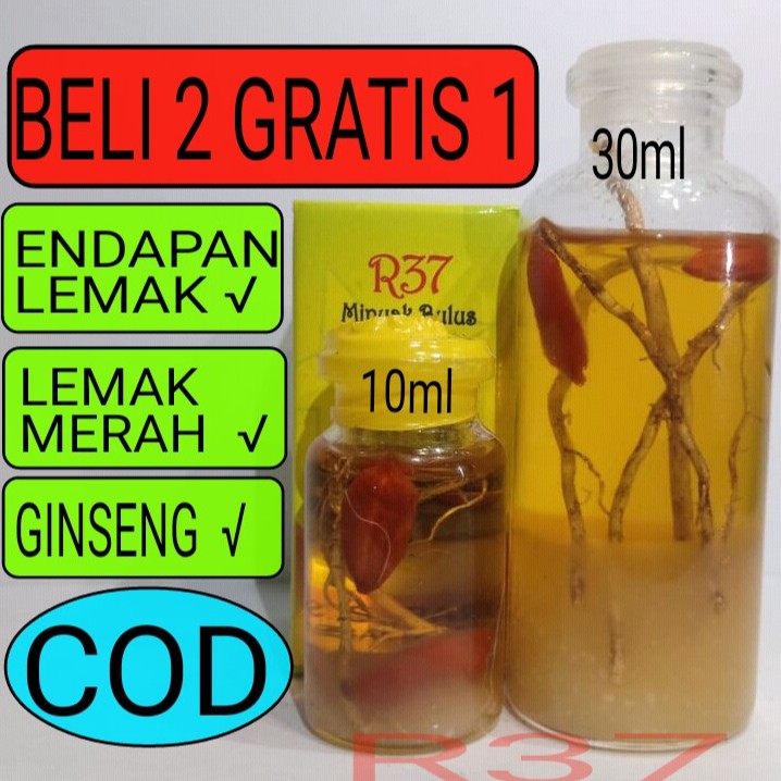 MINYAK BULUS GINSENG MERAH PAPUA R37 10ml ORI ASLI ORIGINAL PEMBESAR PAYUDARA