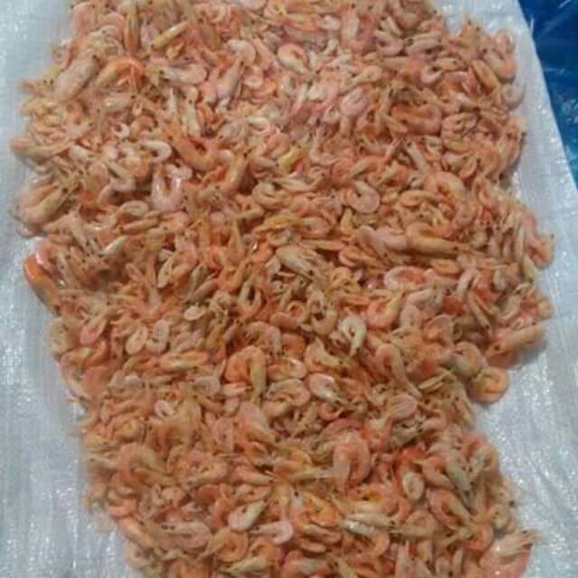 

Udang