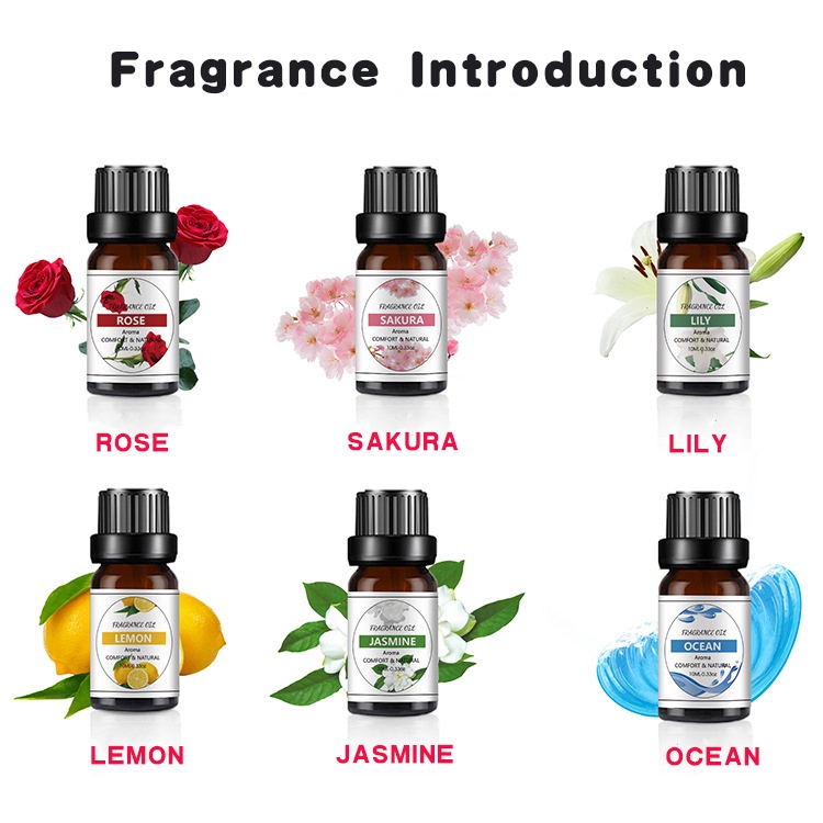 Essential Oil 10ml Minyak Aroma Terapi 6 in 1 Diffuser Humidifier Natural Relax Fresh Detail produk dari Essential Oil Lemongrass Esensial Humidifier 100% Pure Natural Pengharum Ruangan Air Freshener