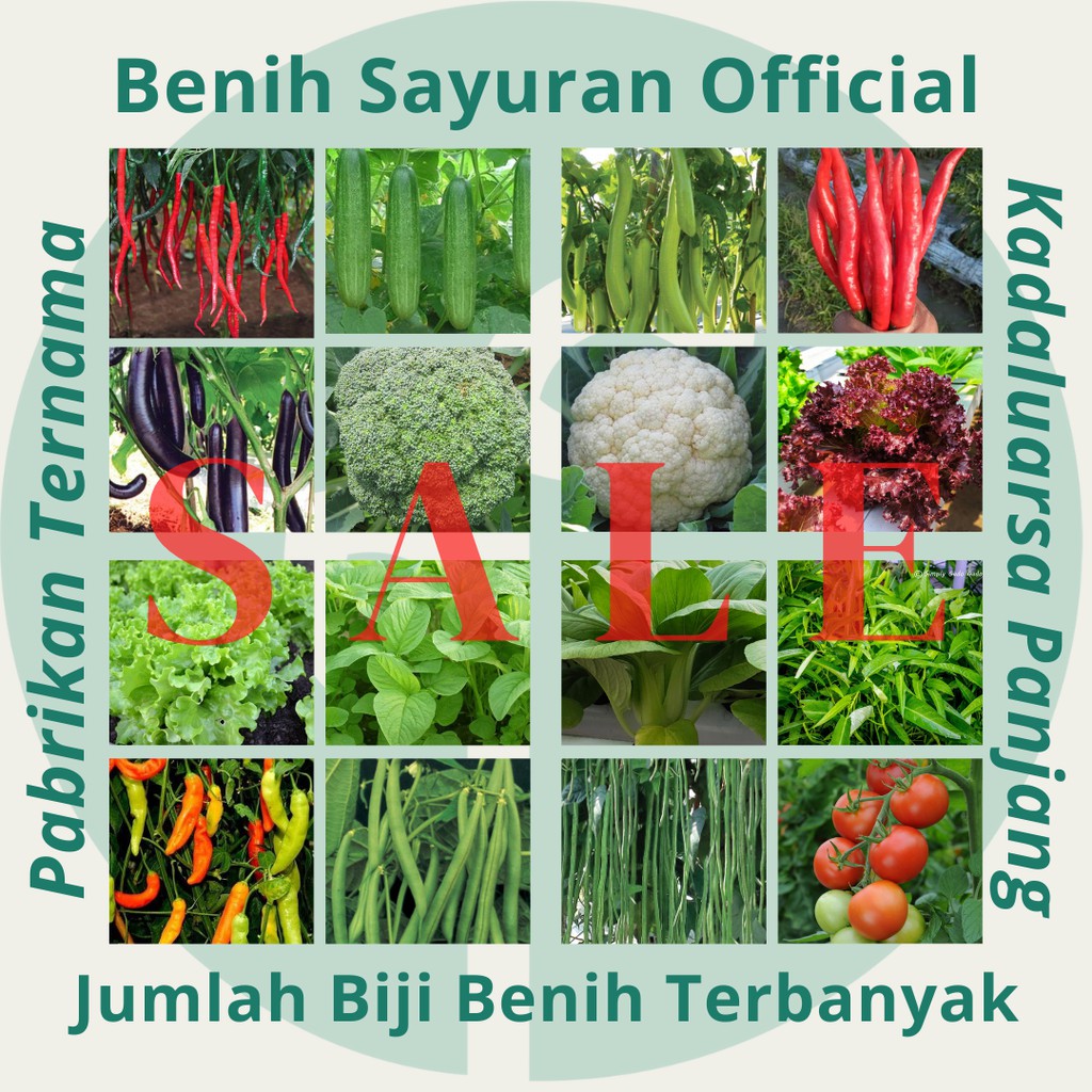 Jual Bibit Sayuran Benih Sayur Paket Lengkap Hidroponik Kangkung Bayam