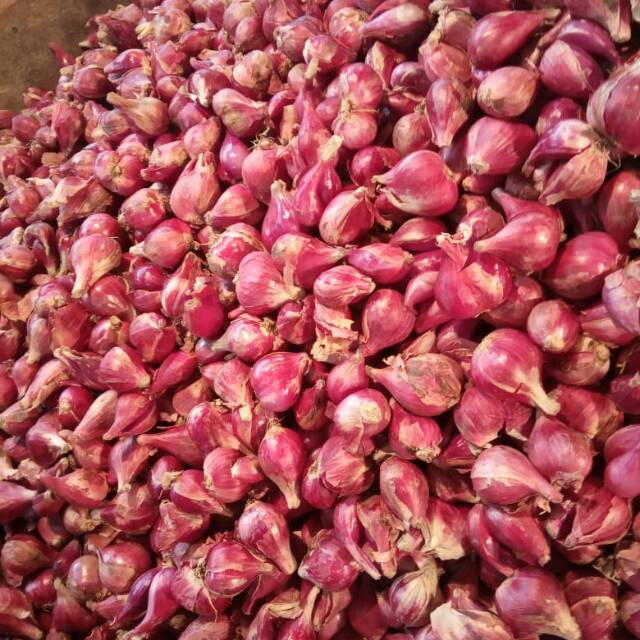 

Bawang Merah BREBES Sedang 500 Gram