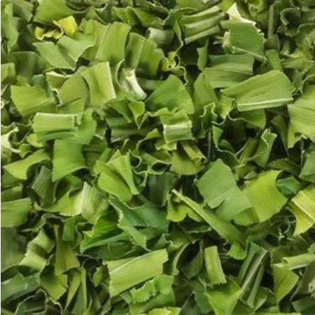 

Seduh Pertama Grosir - Pandan Kering / Daun Pandan Dehidration Proses