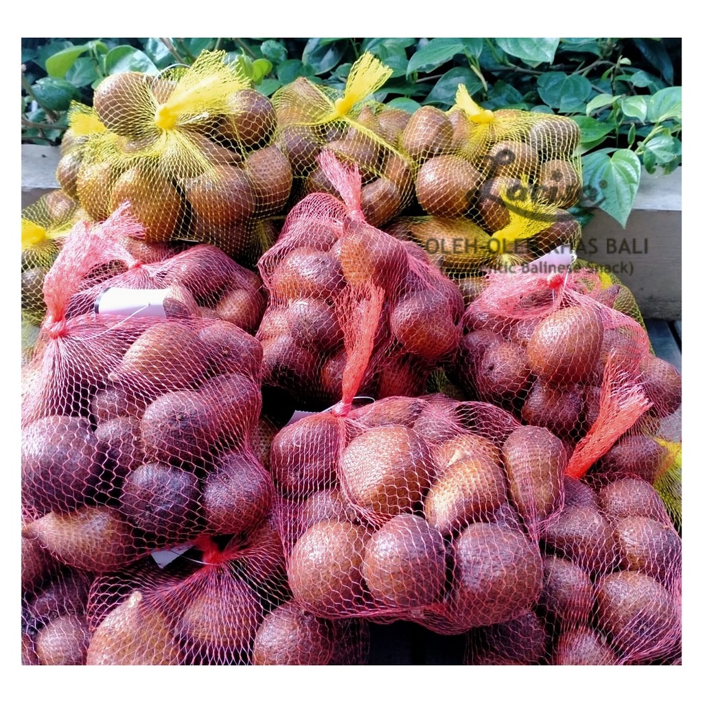 

Salak Bali