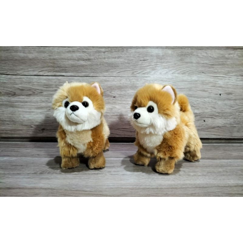 Boneka Anjing Pomerian