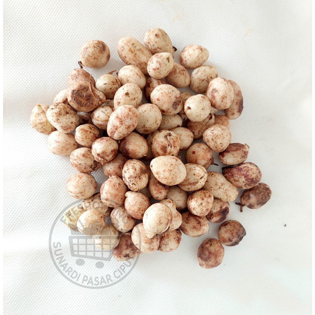 Kacang Bogor Mentah 500gr