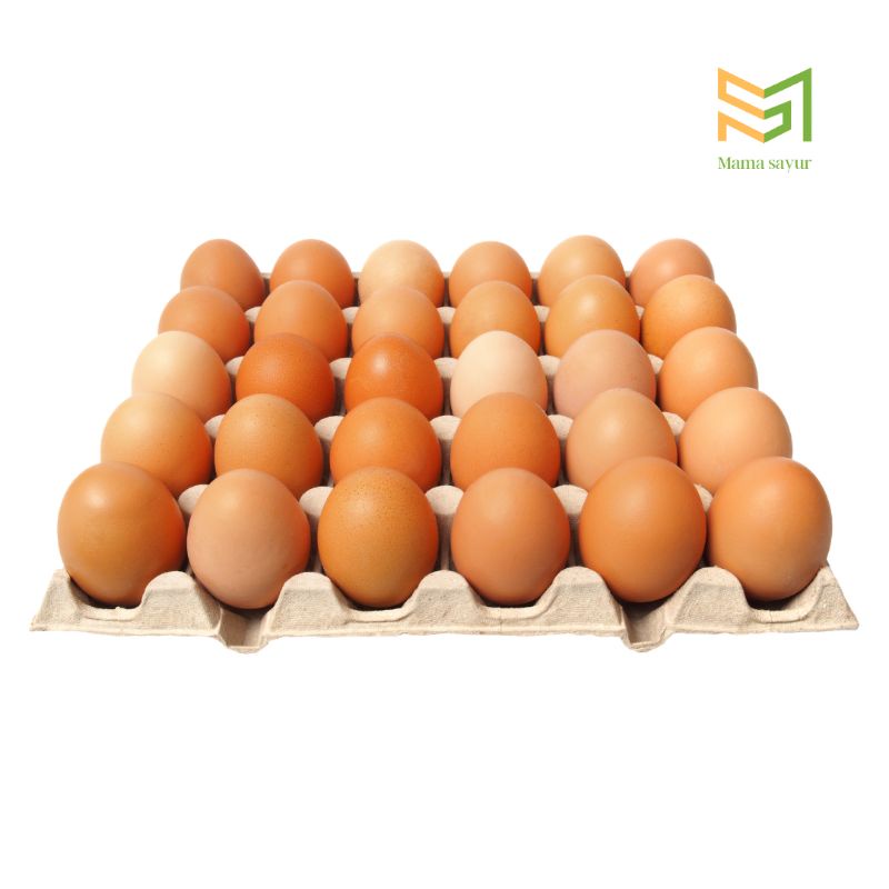 

Telur ayam ras negeri premium