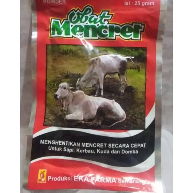 Obat untuk sapi mencret