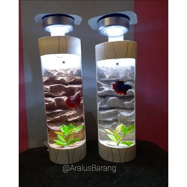 Aquarium Mini / Aquarium Cupang / Aquarium Dinding / Aquarium / Aquarium Mini / Aquarium Cupang / Aq