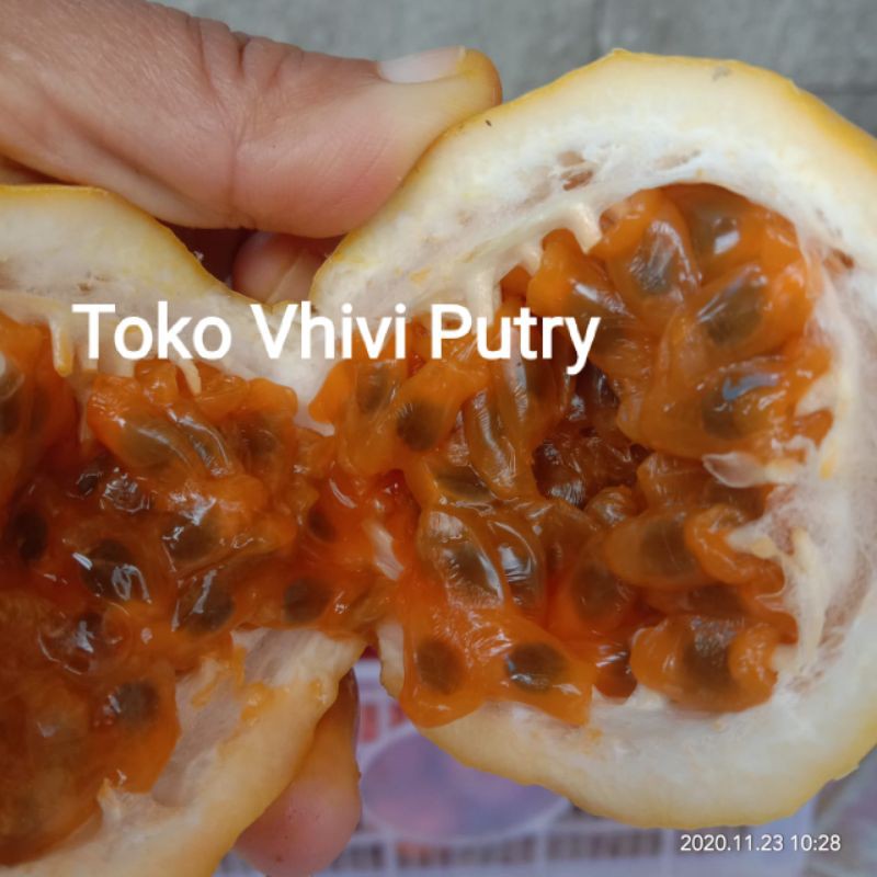 

Buah markisa ungu 20 kg