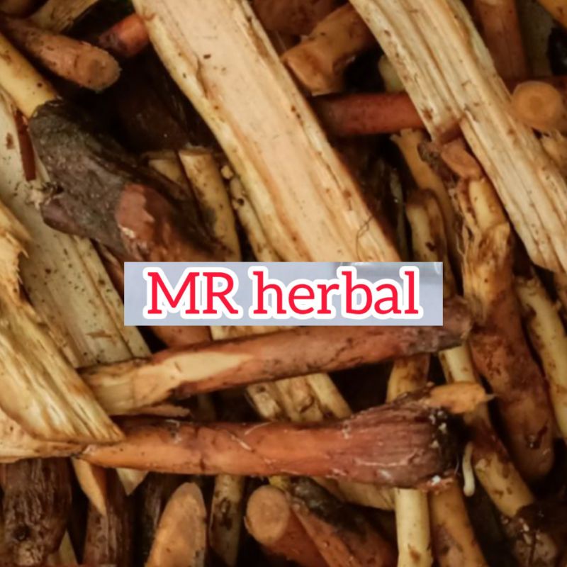 

Mustika akar pohon pinang fres 750 gram