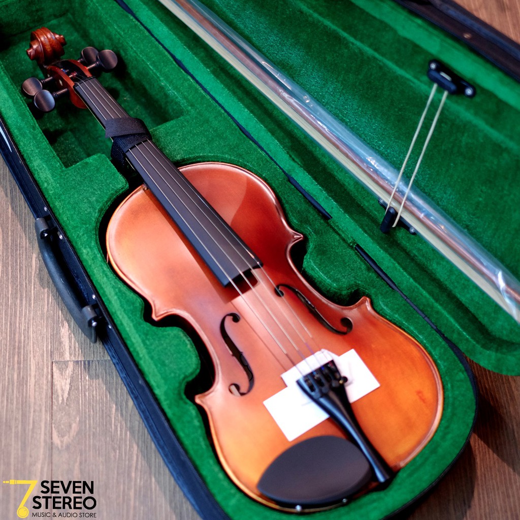 KARL STEINHOFF VIOLIN BIOLA 4/4 V24R