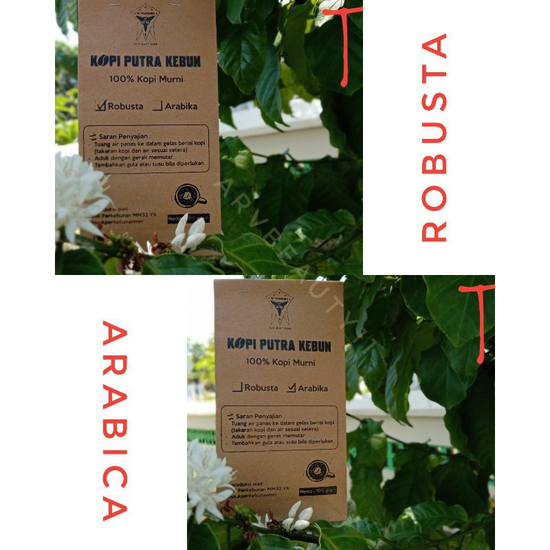 

Kopi Arabica & Robusta Original - Series