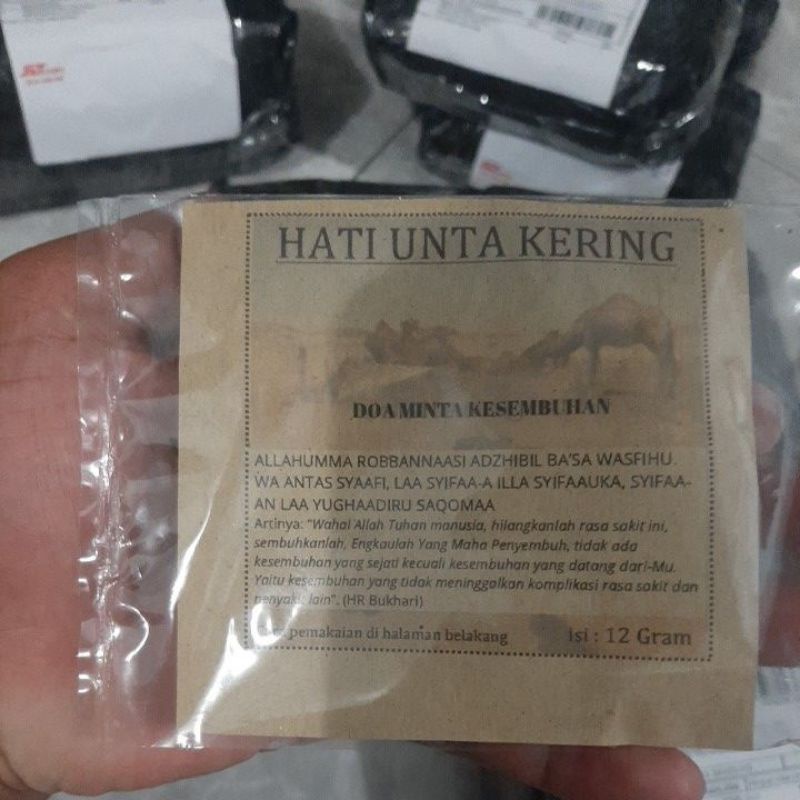 

HATI UNTA ASLI MADINAH