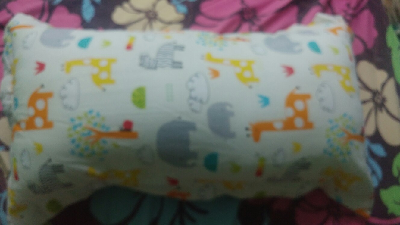 Biboss Bantal 30x60
