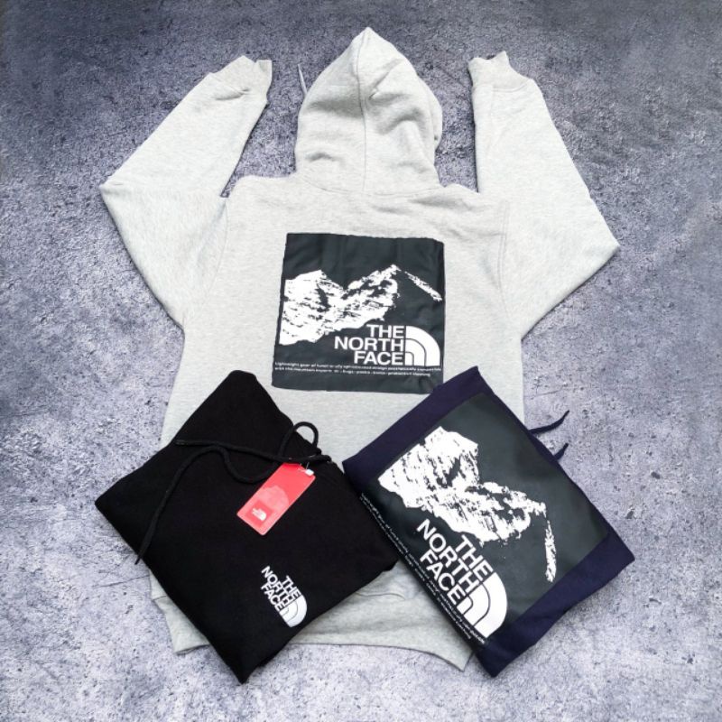 HOODIE THE NORTH FACE