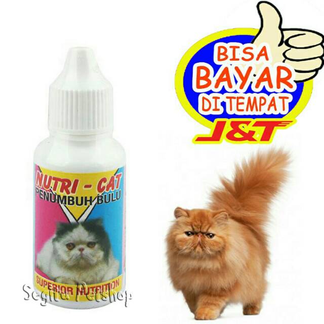 Vitamin Penumbuh Bulu Kucing Nutri Cat