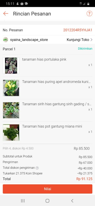 Tanaman Hias Puring Apel Andromeda Kuning Croton