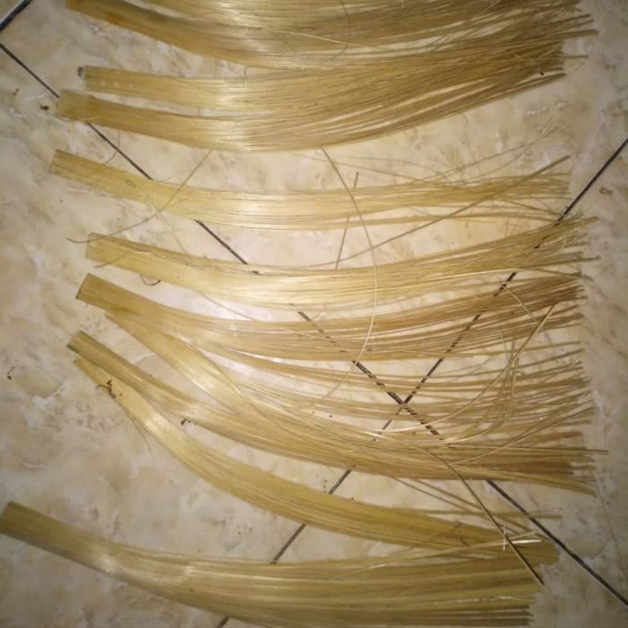 

Tali Bambu Untuk Bacang