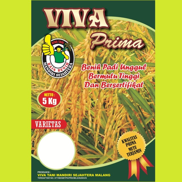 Benih Padi Inbrida Varietas Ciherang