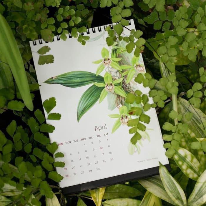 

Palinglaris Kalender meja IDSBA 2020 Native Indonesian Orchids Palingdicari