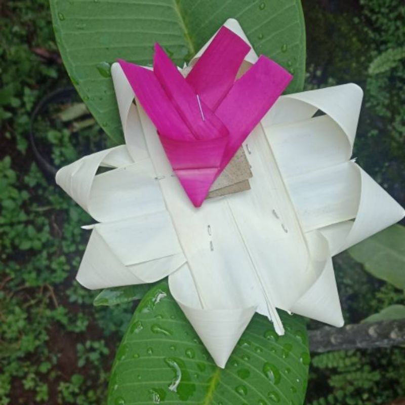 canang ibung ukuran jumbo isi 100 plus porosan