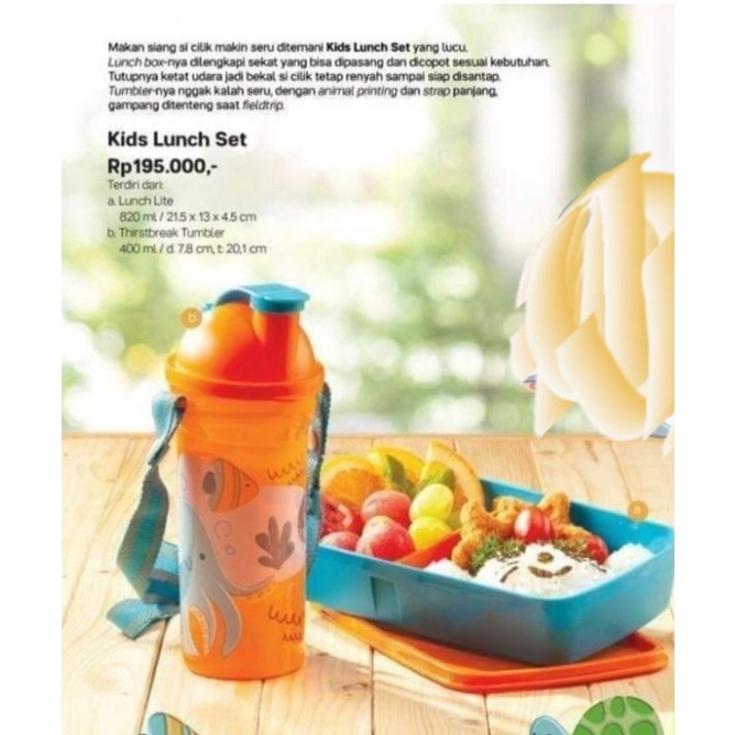 kids Lunch Set Tupperware
