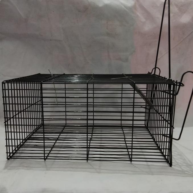 jebakan tikus besar perangkap kurungan tikus kawat baja