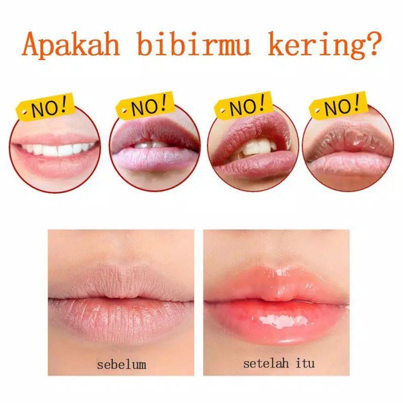 SANIYE 24K Luxury Gold  Lip gloss Pelembab Bibir Flower Magic Lip Oil