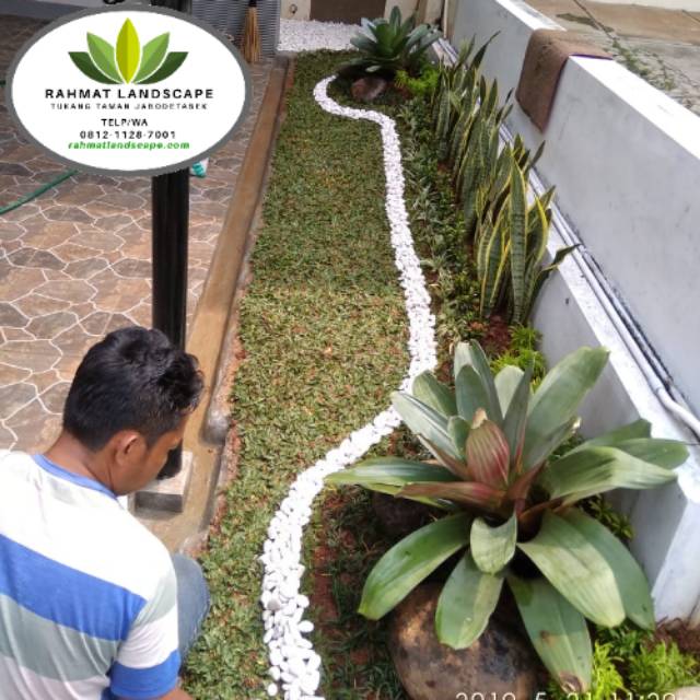 Taman minimalis - tukang taman -  tukang taman minimalis