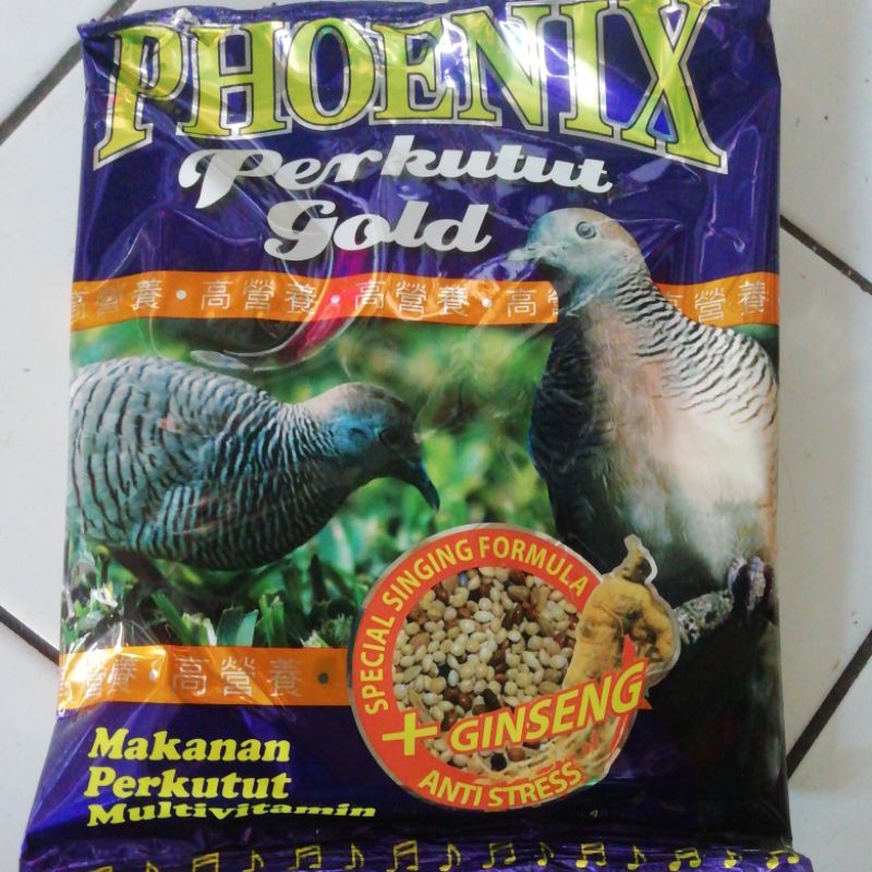 PHOENIX perkutut gold