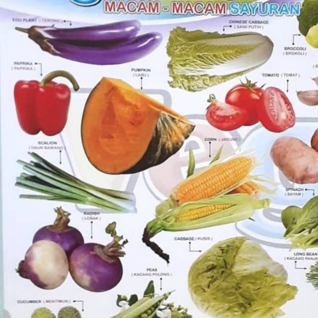 Poster Belajar Aneka Macam Sayuran / Poster Sayur