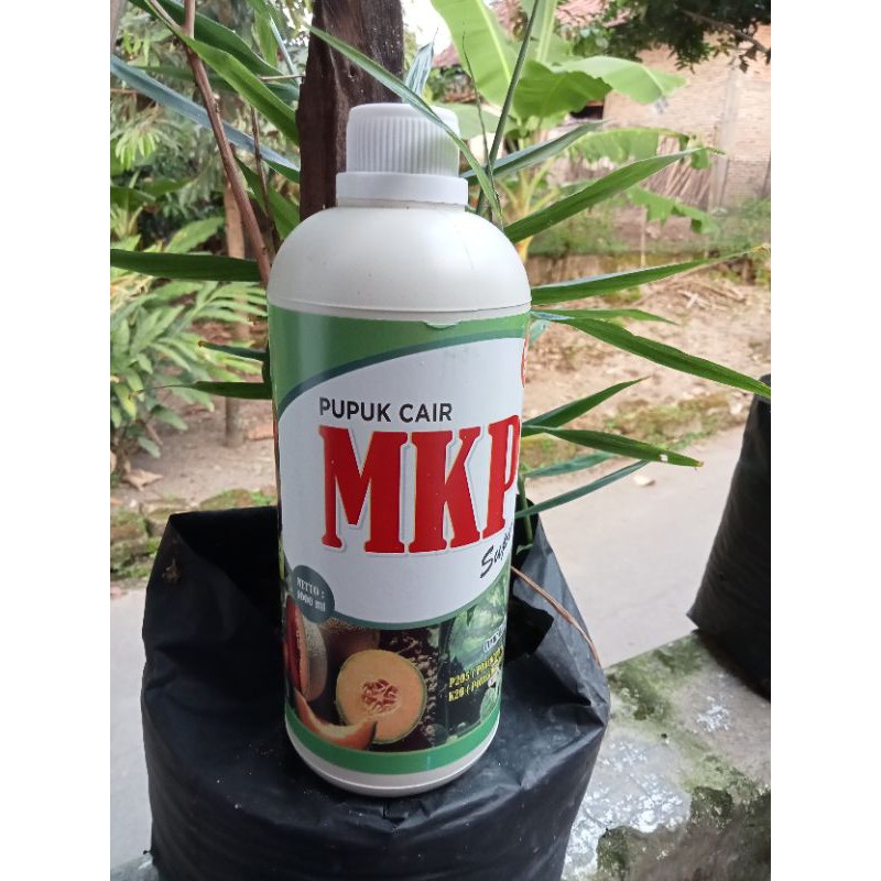 Pupuk cair MKP Super 1000ml