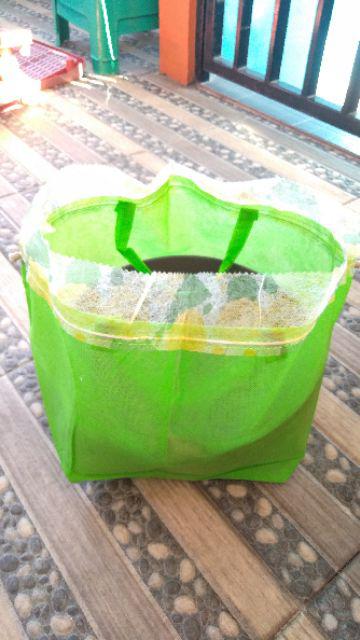 Serut 22 Tebel Buat Besek .kotak Nasi Sm Kue Muat
