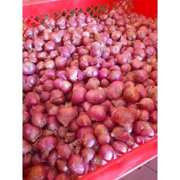

Bawang merah Sayur bima 1kg ASLI BREBES