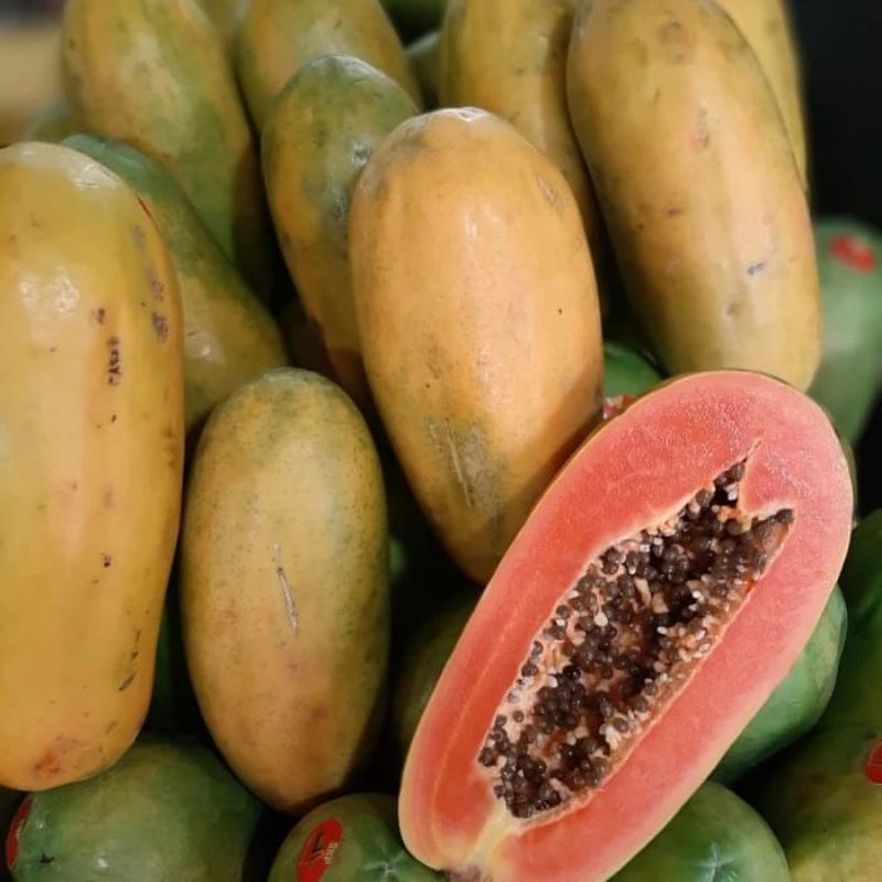 

Buah Pepaya per Butir