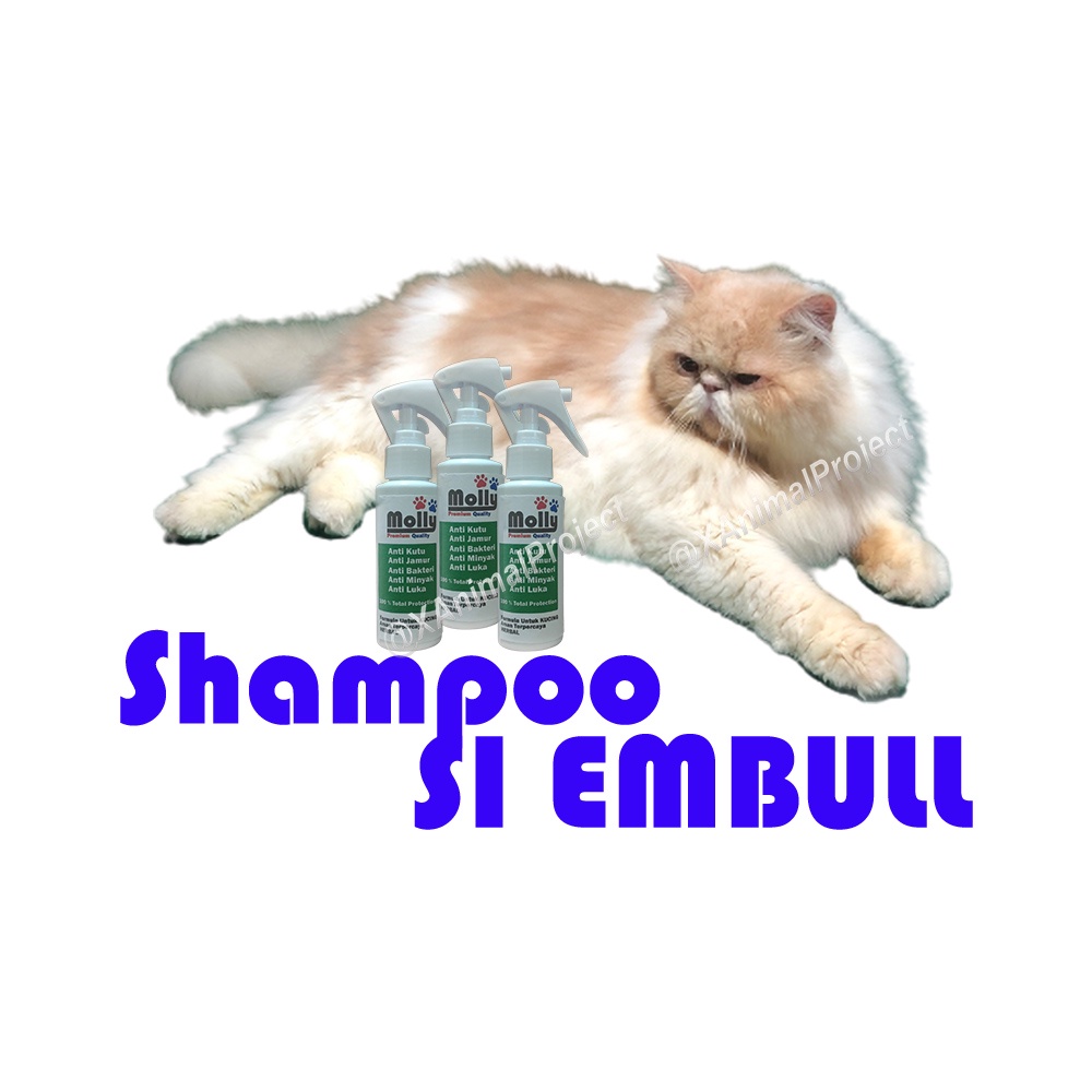 Shampoo Kucing Shampo MOLLY Khusus Cat Kitten Anti Kutu Jamur Bakteri Luka Menghilangkan Minyak Formula Herbal