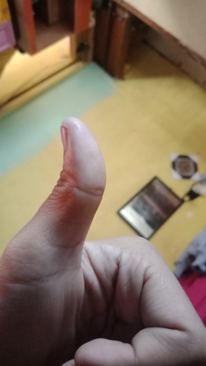 Vitamin B1 Taiwan Liquinox Untuk Semua Jenis Tanaman