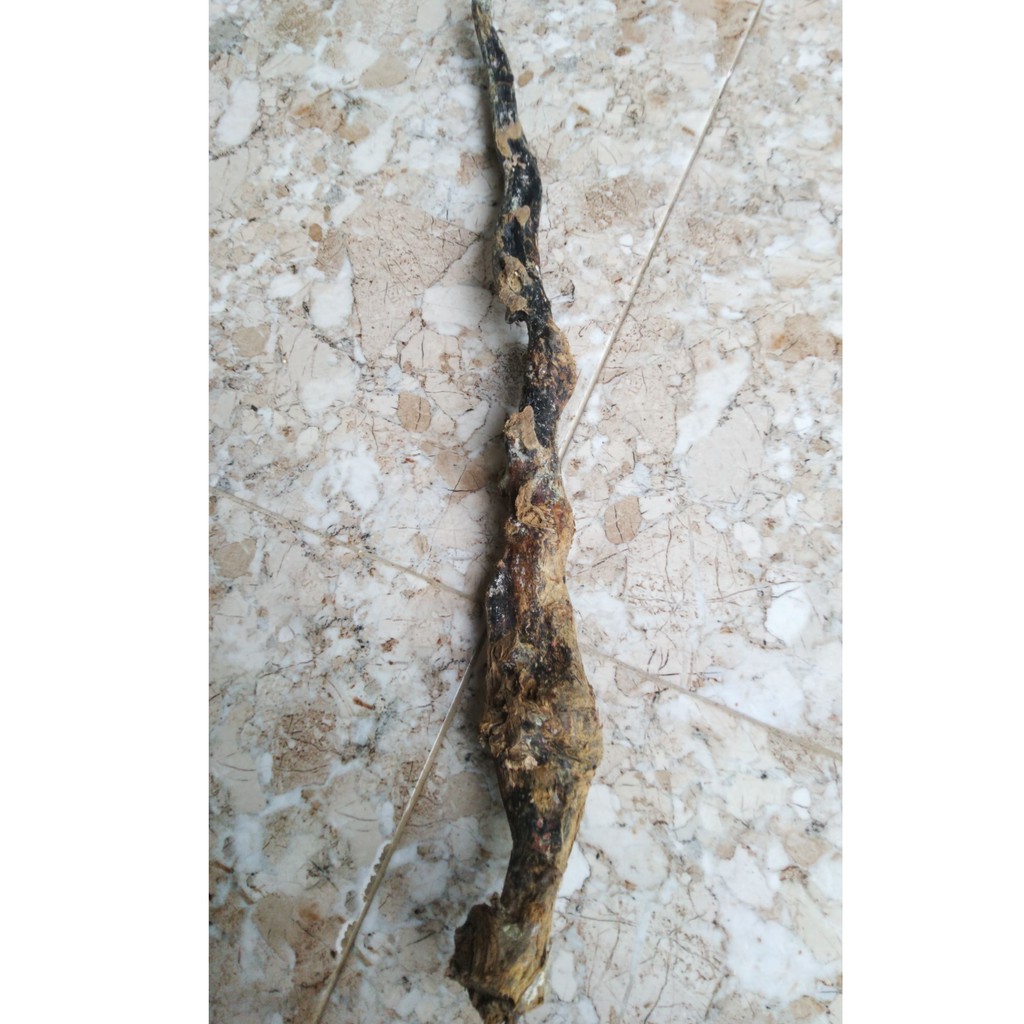 BAHAN AKAR BAHAR SUPER JUMBO ELEGANT 