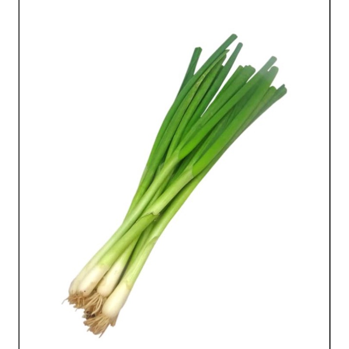 

zv daun bawang 250 g