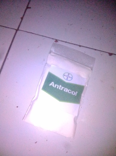 Fungisida Antracol 70wp (original) Repack 30 Gram - 100gram