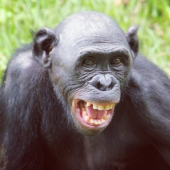 Standing Pouch Transmetz 500 Gram 14x23 Cm Kemasan Kpack